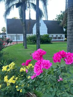 Madeley House Unit 4 - Tranquility 5 kms from O T Tambo - 9