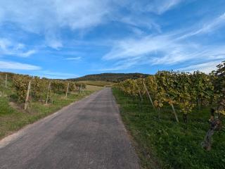 Ferienwohnung Hirsch - 8