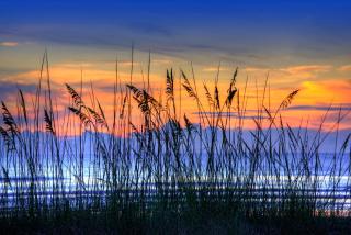 Daytona Beach Resort Condos - 0