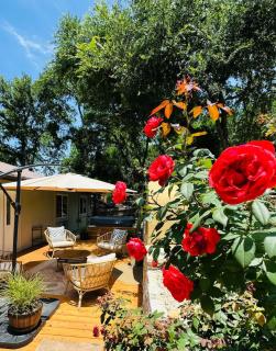 Art Deco Gem-King Suite-Hot Tub-Outdoor Fire Place - 6