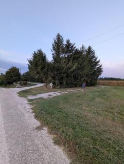 Secluded Woodland Retreat Near Starved Rock Park home - 9