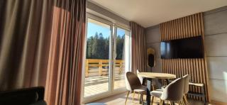 Black Hill Pod Zieleńcem Apartament GOLD Nr3 - 0