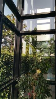 Black Box village with garden - 7