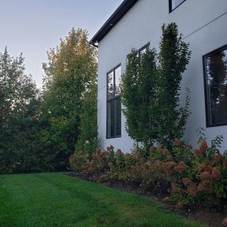 Luxury Countryside Villa - 1