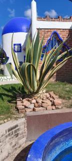 Hotel y Cabañas El Taxho - 2