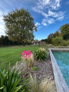 Il Glicine - Natural BnB - Castello di Godego - 6