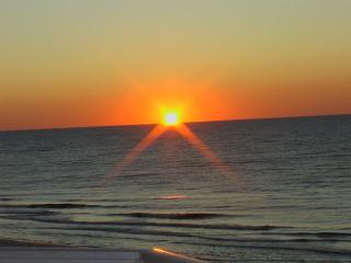 Four Winds 303 by ALBVR - Great Beachfront condo in low density complex! - 3