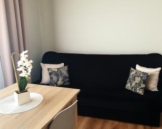 Apartament 35 Tuchola - 9