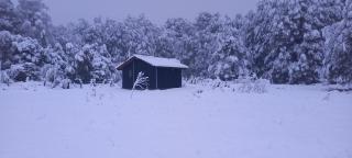 Cabaña Los Chilcos - 8