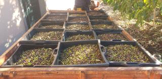 Agriturismo La Collina Verde - 8