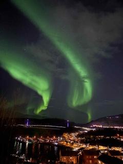 Ankenes Romutleie AS - 0