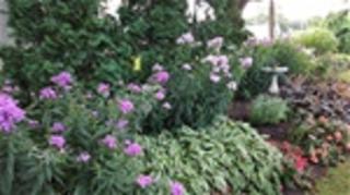 Chestnut Cottage LLC - 2