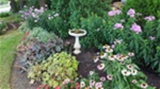 Chestnut Cottage LLC - 1