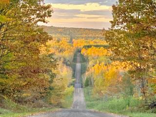 Hauser's Bayfield Cabin - 2