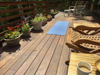 Hauser's Bayfield Cabin - 4