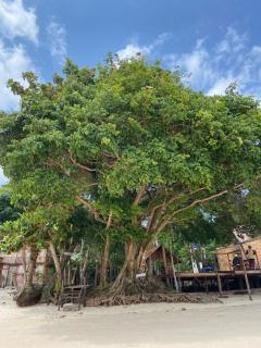 Pousada Vila Amazônica - 1