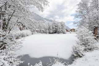 All Nature Duplex - Happy Rentals - 3