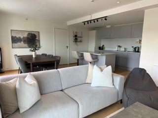 Large luxurious apartment with private terrace and parking - 4