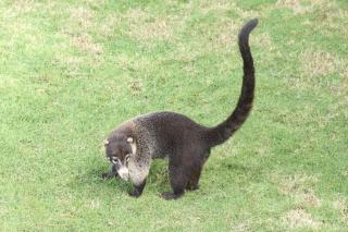 In the Heart of Nature - 7