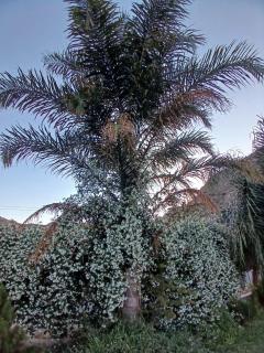 Cuesta de san miguel - 5