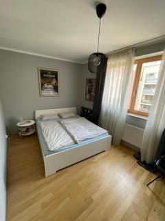 COSY&SUNNY flat, center 10min, park 3min, baby cot, free weekend parking - 4