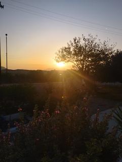 The Garden House - 9