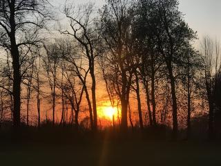 Strandvilla Leni - 9