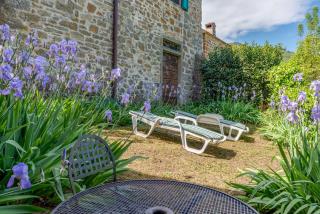 Mulino con piscina vicino Firenze - 6