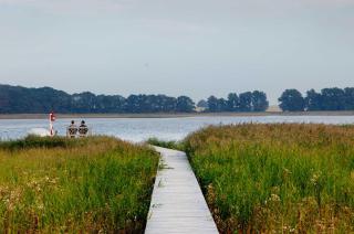 Gut Grubnow Rügen - Ferienhaus - 8