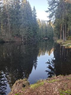 Ferienwohnung Rose - 9