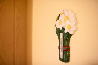 Hunziger's Zimmervermietung - 9