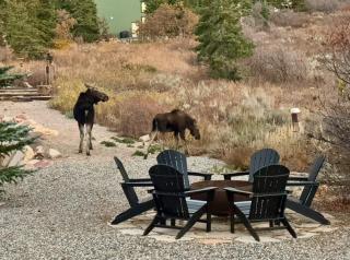The Crestview Cabin Hot Tub & Alpine Views - Summit Park - 0