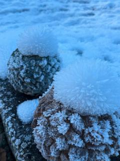 Gästehaus Absbachtal - Bad Rippoldsau-Schapbach - 5