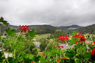 Familien-Sportappartements Wetzel - 6