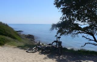 L'avocette - Sarzeau - 2