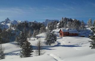 Ninette, intimità e natura - 4