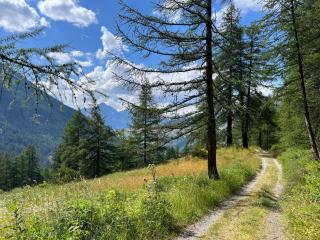 Ninette, intimità e natura - 3