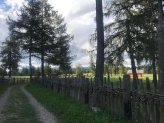 Beckenbinder Apartement Rosengarten - 7