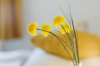 db staycation ferienpark - 7