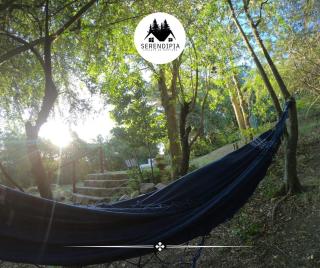 Serendipia Chalet 1 Naturaleza y Pileta - 8