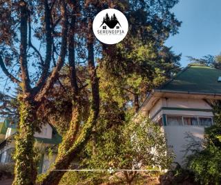 Serendipia Chalet 1 Naturaleza y Pileta - 7