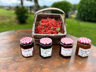 Charming Guest House in Cornish Countryside - 7