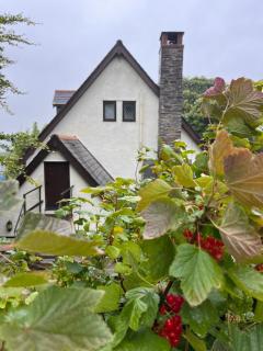 Charming Guest House in Cornish Countryside - 6