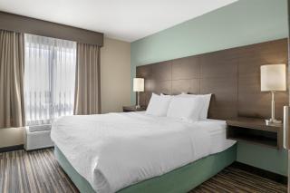 Best Western Plus Dartmouth Hotel & Suites - 0