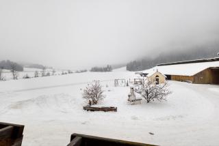 Untersinnerhof Gsies - 6