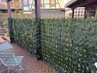 Wohnung In Wolfenbüttel - 6