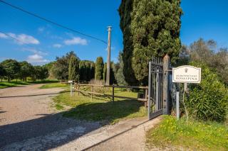 Rosaspina - Appartamento 2 - 4