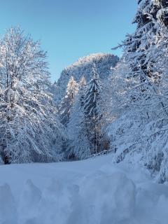 Ferienhaus Seltschach 193 - 2