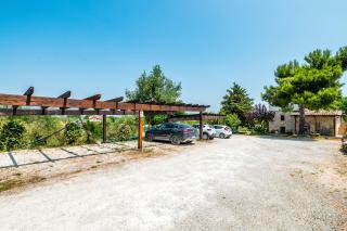 Tulipano - Agriturismo Fogliani - 7