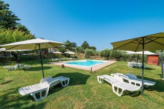 Tulipano - Agriturismo Fogliani - 5